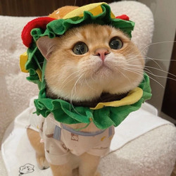 Hamburg Cat Head Cover Pet Hat