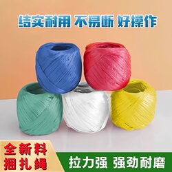 Plastic Rope Large Roll Binding Rope Packaging Rope Wholesale Packing Rope Nylon Rope Grass Binding Rope Sealing Rope Bag Sealing Rope