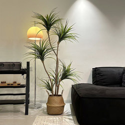 Artificial Green Plants under the Tree, Dragon Beard Tree, High-End Light Luxury Living Room Balcony, Artificial Plants, Fake Trees, Floor-Standing Sofa Side