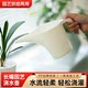 
Household long-mouth flower watering kettle watering kettle plastic watering kettle long-mouth kettle large-capacity watering kettle gardening indoor flower growing