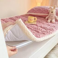Winter Coral Velvet Milk Velvet Fleece-Lined Mattress Soft Cushion Student Dormitory Single Bed Mattress Pad Blanket Bed Sheet