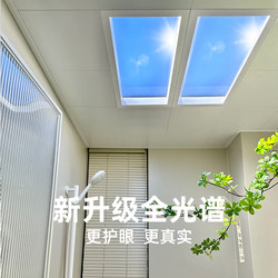 Ultra-Thin Sky Light Smart Integrated Ceiling Led Light Kitchen Natural Light Skylight Blue Sky Light Sun-Like Clear Sky Light