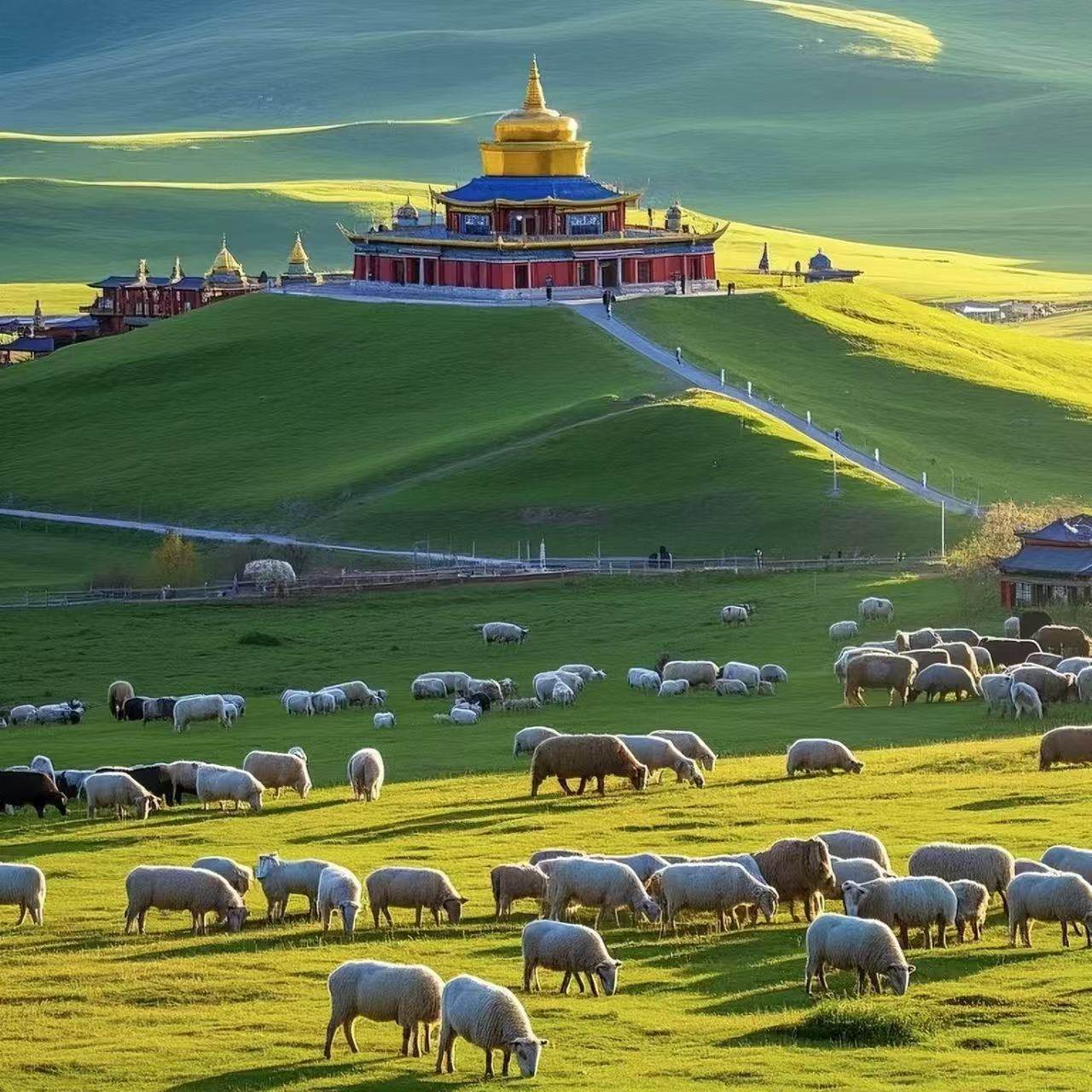 秋冬雪景甘南郎木寺黄河第一湾拉卜楞寺甘加秘境5天4晚纯玩私家团