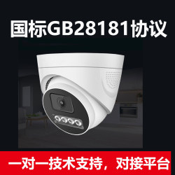 National Standard Gb28181 Camera Protocol Home and Commercial Wireless Wifi Mobile Phone Remote Monitor Full Color Night Vision