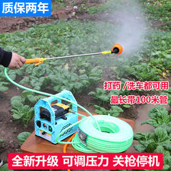 Agricultural Electric Dual-Pump Sprayer, High-Pressure Diaphragm Pesticide Sprayer, Portable Rechargeable Model Suitable for Fruit Tree Washing
