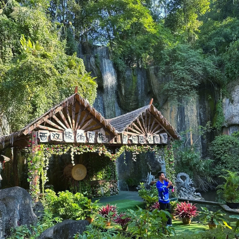 云南西双版纳原始森林公园+曼掌村一日游【探秘热带沟谷雨林】
