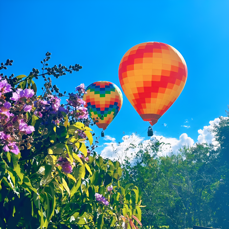 8人团西双版纳旅游中科院热带植物园傣族园一日游纯玩包车亲子游