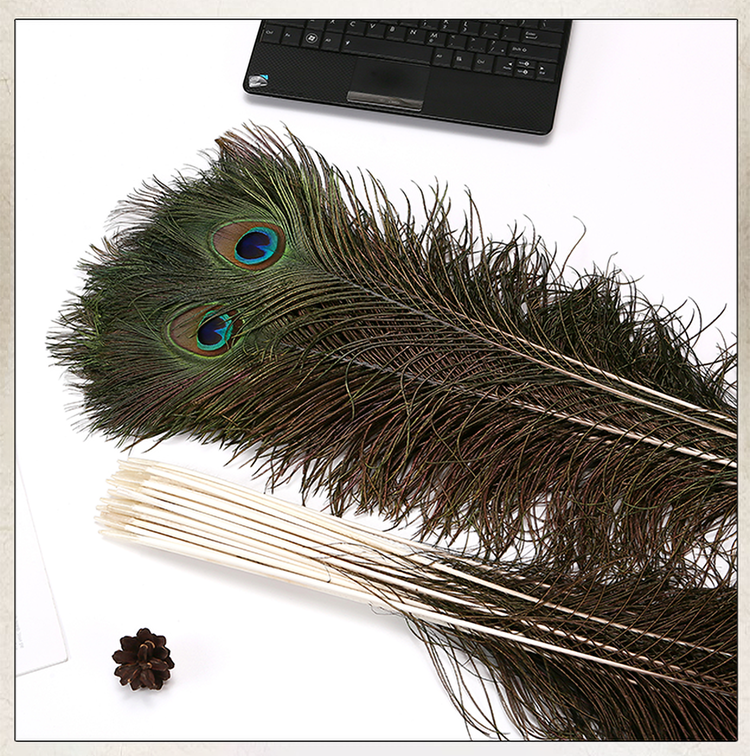 孔雀の羽の装飾品 - クラシックなリビングルームの装飾
