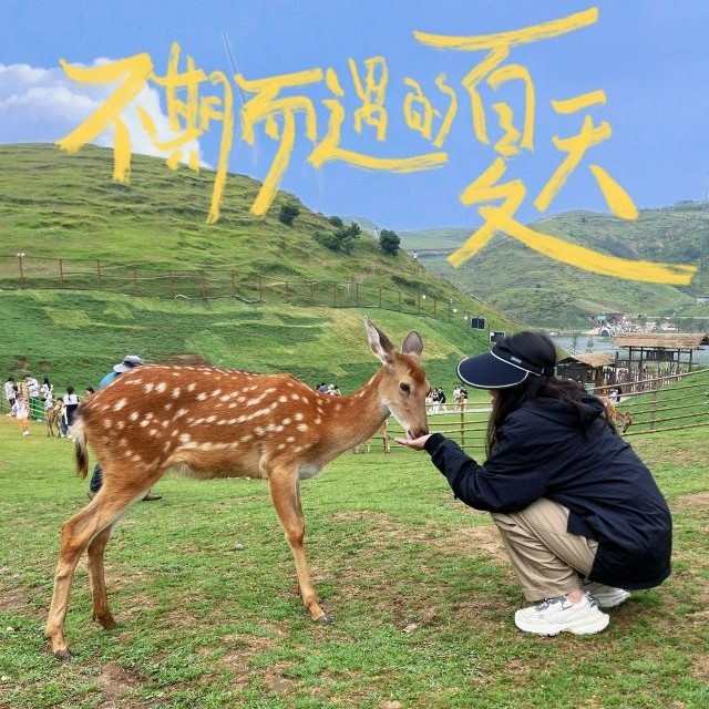 郴州3日游|小团,仰天湖‖五指峰‖高椅岭‖东江湖‖飞天山‖白廊