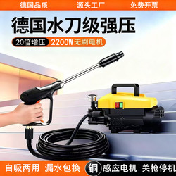 German Household Car Washing Machine, High-Pressure 220V, High-Power Car Washing Tool, Portable Disinfection Cleaning Machine, Portable Car Washing Pump