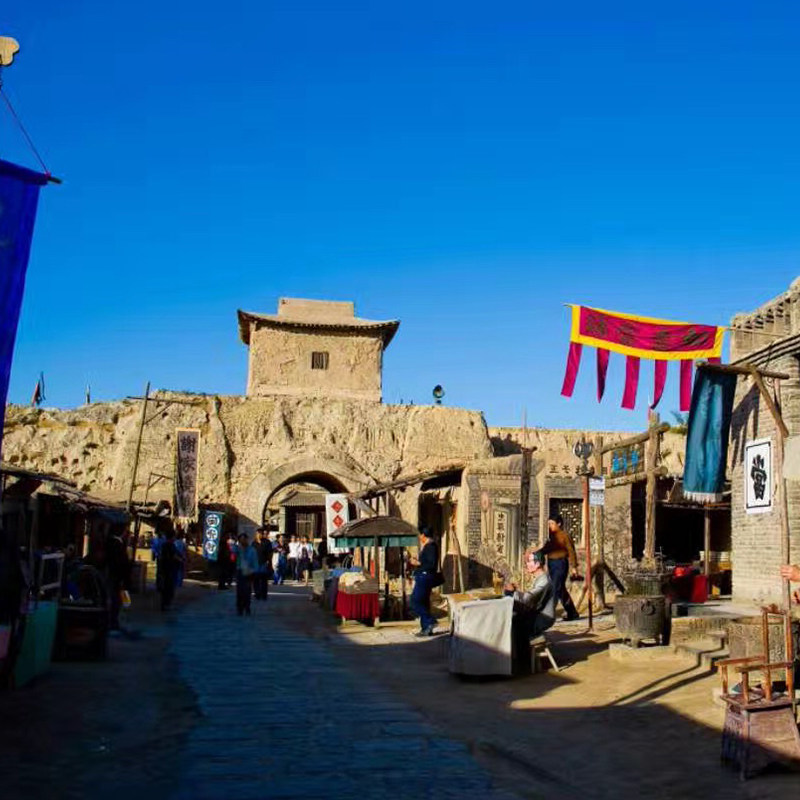 宁夏银川一日游影视城西夏陵岩画含门票纯玩无购物舒适包车小团