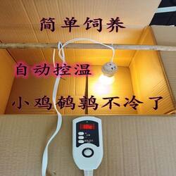 Imported chicken insulated box from Germany, automatic temperature control quail brooch box, chicks pet insulated box, chicks, chicks