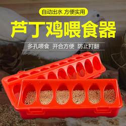 Parrot Feeder, Automatic Feeder for Quail, Quail Food Bowl, Feeder for Quail, Feeding Supplies, Chick Waterer