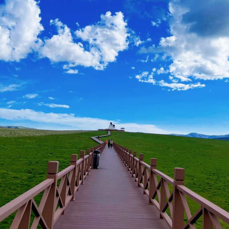 甘南旅游5日游【1晚四星酒店】莲宝叶则川西扎尕那拉卜楞寺若尔盖