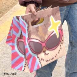 Original Sunglasses and Kitten Storage Bag Gift Bag, Hard Cardboard Tote Bag, Hand-Carry Bag, Thickened Gift for Recipients ins