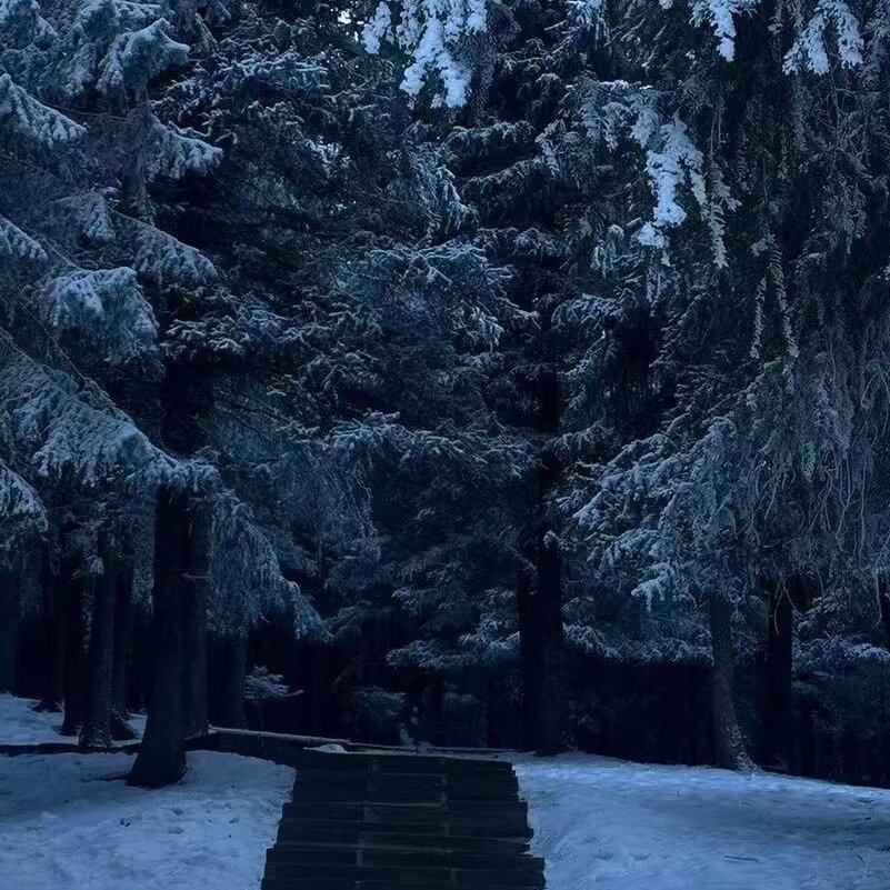 新疆乌鲁木齐周边昌吉天山天池一日游,立即下单有43元卷儿