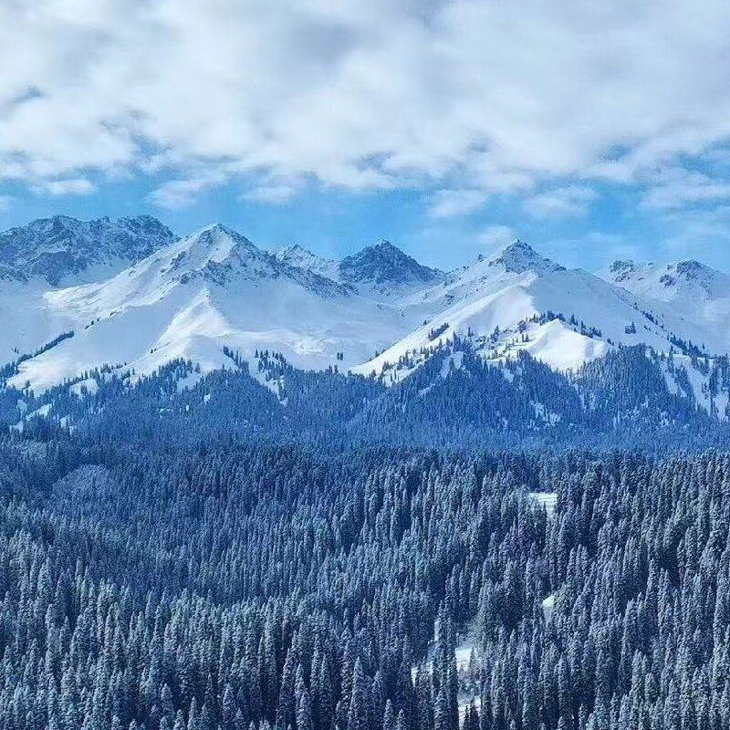 新疆旅游库尔德宁那拉提赛里木湖 伊犁起止3日游