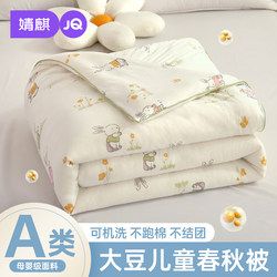 Jingqi Class a Baby Summer Cooling Quilt Soybean Spring and Autumn Quilt Core Winter Nap Blanket Air-Conditioned Baby Special Quilt a