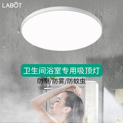 Bathroom Ceiling Light, Moisture-Proof, Waterproof, Anti-Fog, Simple and Modern Toilet Balcony Lighting Fixture