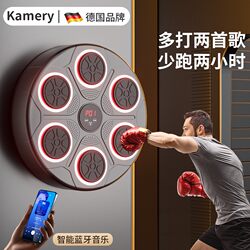 Germany-Kamery Smart Music Boxing Machine Wall Target for Home Use, Children and Adults Boxing Wall-Mounted Electronic Reaction Target