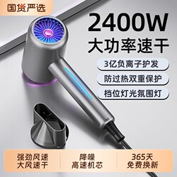 Hair Dryer for Home Use, Negative Ion Hair Care, Silent, Quick-Drying, Strong Wind, Powerful Hair Dryer, High-Power, Foldable