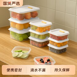 Fruit Lunch Box for Students and Office Workers, Portable Plastic Lunch Box for Outings, Food-Grade Picnic and Camping Preservation Box