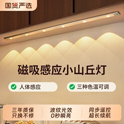 Led Rechargeable Motion Sensor Light Strip Wireless Self-Adhesive Wardrobe Shoe Cabinet Wine Cabinet Hill-Shaped Light Strip Remote Control Magnetic Attachment