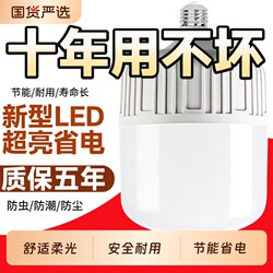 Led Light Bulb for Home Use E27 Screw Base Energy-Saving Lamp White Light Super Bright Indoor Eye Protection Flicker-Free High-Power Lighting Bulb