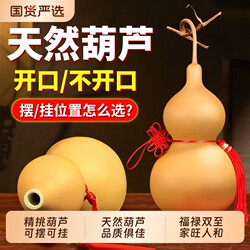 Natural Gourd Pendant, Real Gourd for Feng Shui, Chinese Knot, Auspicious Door-To-Door Decoration, Living Room Entrance Ornament, Large Size Collectible Item