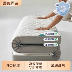Four-Season Mattress Soft Cushion Home Use Sponge Pad Student Single Rental Compression Foldable Moisture-Proof Bedroom Dormitory Spine Protection