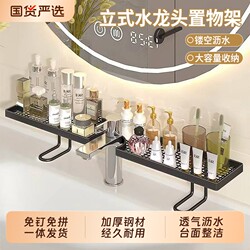 Vertical Faucet Storage Rack Bathroom Washbasin Wall-Mounted No-Drill Sink Organizer