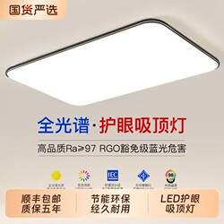 2025 New Model Led Ceiling Light for Room, Bedroom, Living Room, Hall, Modern Simple and Elegant Zhongshan Lighting Fixtures