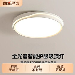 Bedroom Lamp Ceiling Light 2025 New Model Living Room Lamp Modern Simple Led Room Master Bedroom Lighting Dining Room