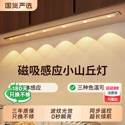Led Rechargeable Motion Sensor Light Strip Wireless Self-Adhesive Wardrobe Shoe Cabinet Hill-Shaped Light Strip Magnetic Suction Entryway Light