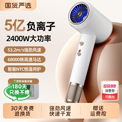 High-Speed Hair Dryer for Home Use, Negative Ion Hair Care, Silent, Quick-Drying, High-Power, Constant Temperature, Powerful Hair Dryer with Strong Wind Power