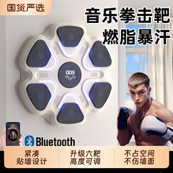 Smart Music Boxing Machine for Home Use, Wall Target for Adults and Children, Indoor Electronic Target for Reaction Training, Martial Arts Training Equipment