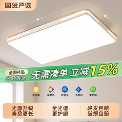 Led Ceiling Light, Bedroom Light, Living Room Light, Modern Simple and Elegant Zhongshan Lighting Fixtures, 2025 New Model, Eye-Protection Lamp