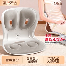 Oes Waist-Protecting Cushion and Backrest Integrated Office Ergonomic Large Chair for Long Sitting Without Fatigue, a Waist-Protecting Miracle