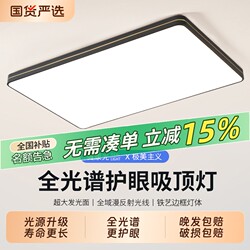 Living Room Main Light, Simple and Modern, Stylish Room Light, 2026 New Model Living Room Light, Led Household Ceiling Light, Bedroom