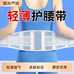 Waist Support Belt for Lumbar Disc Herniation, Lumbar Muscle Strain, Waist Brace for Men and Women, Summer Lightweight Breathable Support