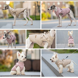 West Highland Bichon Golden Retriever Corgi Border Collie Teddy Schnauzer