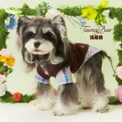 Tony Bear Dog Clothes Spring/Summer Style Schnauzer Teddy Bichon Retro Fake Two-Piece Cartoon Print Two-Legged Style