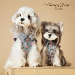 Tony Bear Dog Clothes Denim Vintage Style Heart-Shaped Teddy Schnauzer Maltese Harness Vest with Leash Clip for Cats