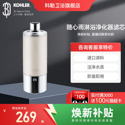 Kohler Rainfall Shower Purifier Bath Showerhead Filter 72914t Removes Impurities and Heavy Metals