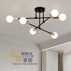 Cross-border American-style living room chandelier multi-branch bedroom ceiling lamp creative molecule living room dining room iron ceiling lamp lamps