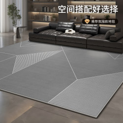 Carpet for Living Room 2025 New Model Light Luxury High-End Gray Minimalist Washable Wipeable Bedroom Bedside Modern Sofa Rug