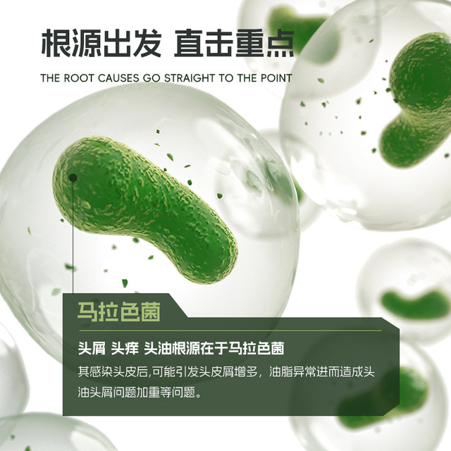 Qi Rui Kang Shampoo Water Control Oil Flly Deductive Selenium Reknamina ...