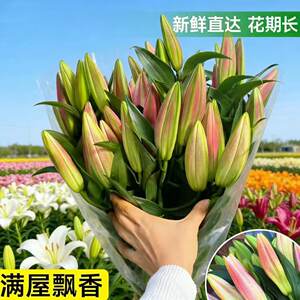 
Flower bouquet Yunnan flower base straight hair perfume lily express delivery in the same city water-raised flower arrangement fresh roses