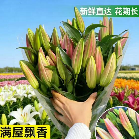 
Flower bouquet Yunnan flower base straight hair perfume lily express delivery in the same city water-raised flower arrangement fresh roses