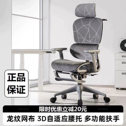 Diperson E3 Ergonomic Chair Home Computer Chair Comfortable Office Chair Back Seat Study Chair Gaming Chair